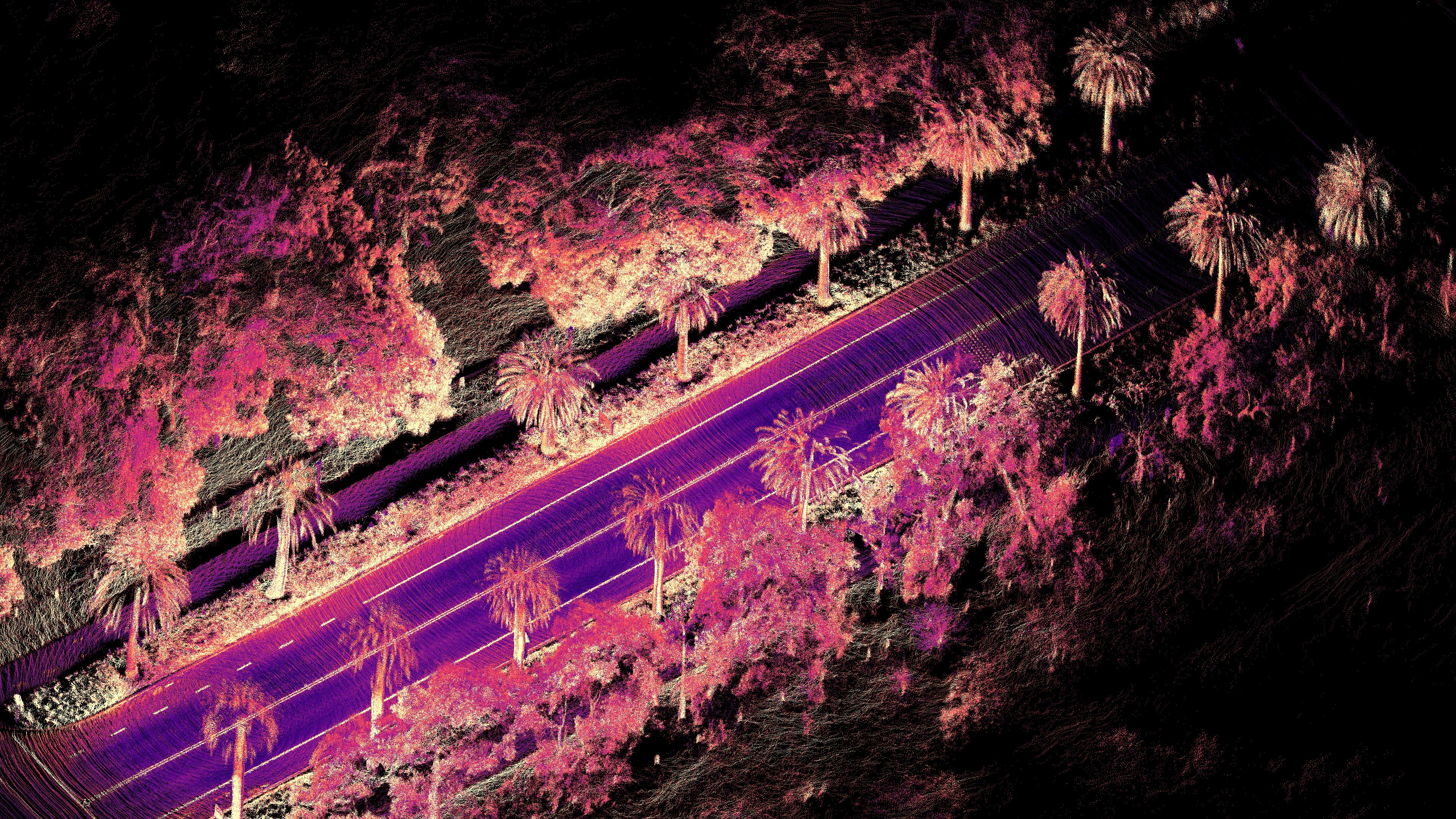 REV7-Palm-Drive-OS2-Point-Cloud